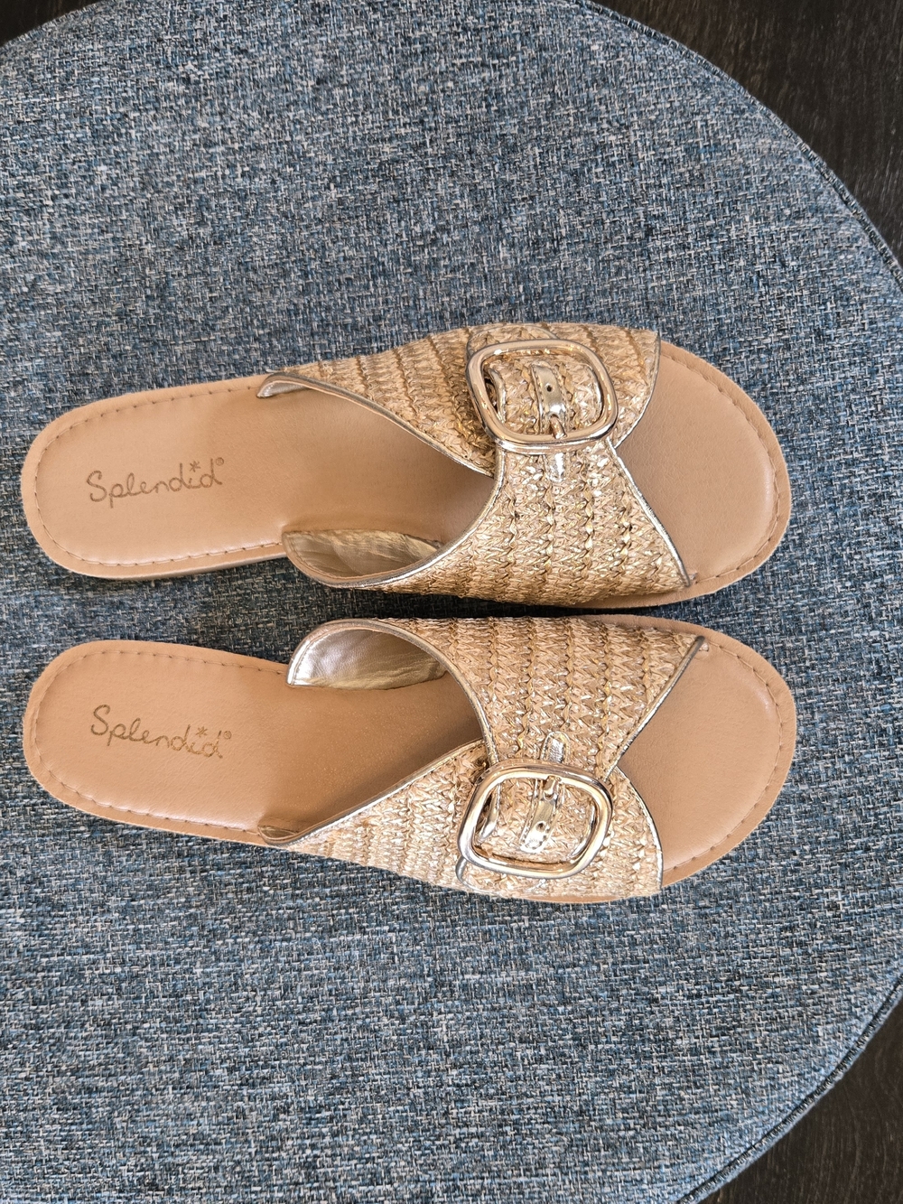 Splendid Sandy Light Gold Braided Slide Sandals with Decorative Buckle - Picture 6 of 9